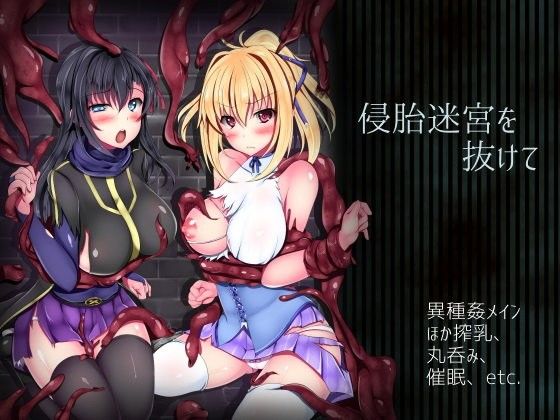 パッケージ画像