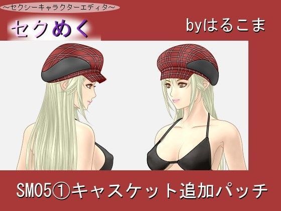 SM05（1）キャスケット追加パッチ
