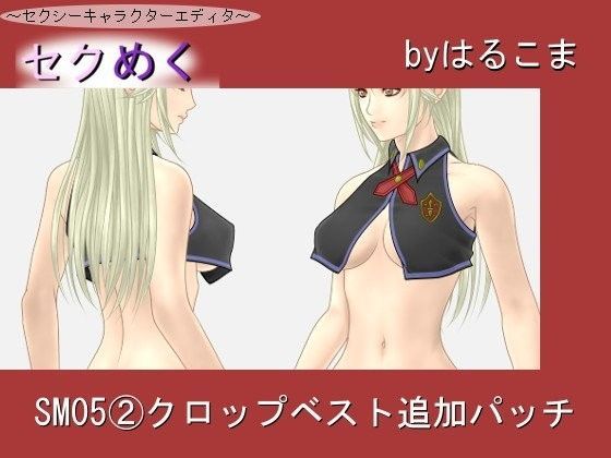 SM05（2）クロップベスト追加パッチ