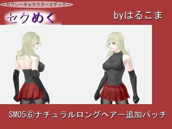 SM05（6）ナチュラルロングヘアー追加パッチ