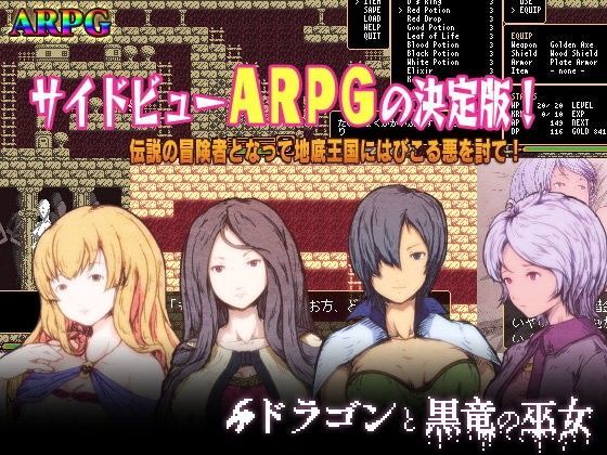 ドラゴンと黒竜の巫女