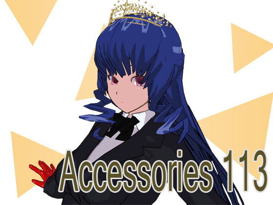 Accessories 113