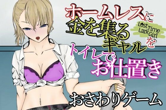 LostTimeLarkGirl〜ホームレスに突っかかるギャルを多目的トイレでお仕置き〜