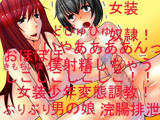 男の娘セーラー忍者エリカ！！！
