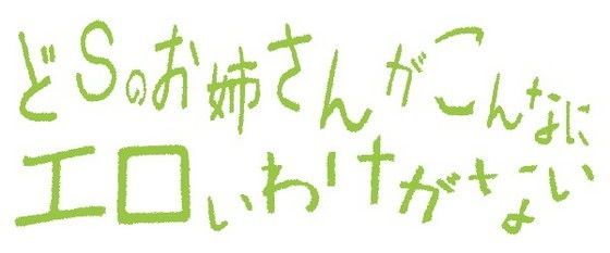 Sなお姉さん詰め合わせ