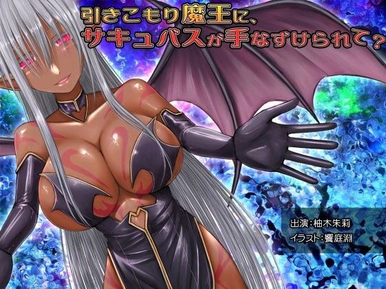 引きこもり魔王に、サキュバスが手なずけられて？