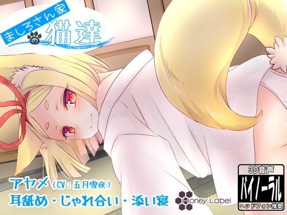 【添い寝＆耳舐め】ましろさん家の猫達 アヤメ編