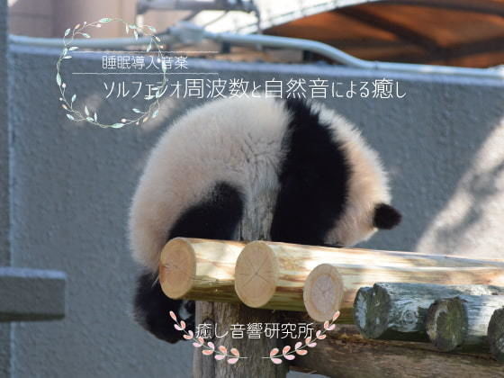 ソルフェジオ周波数と自然音による癒し