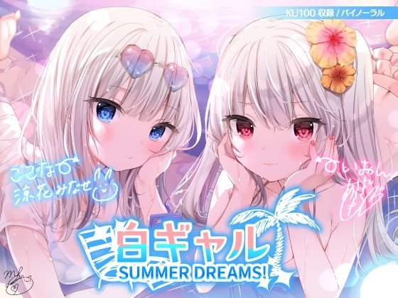 パッケージ画像