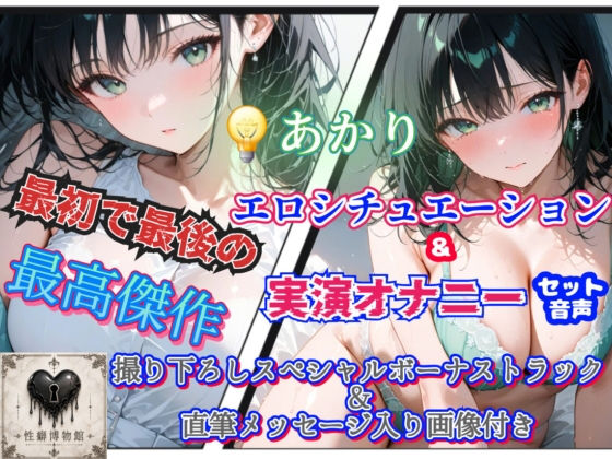 でんきあかり最初で最後の作品
