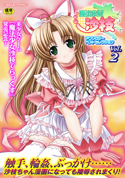 魔法少女沙枝アンソロジーベストセレクションVol.2