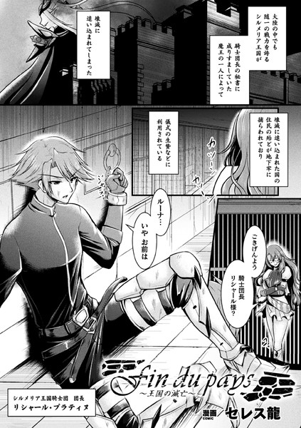 Fin du pays〜王国の滅亡〜（単話）