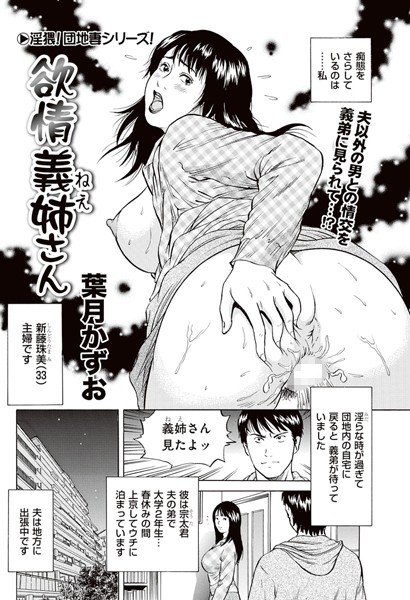 欲情義姉さん（単話）