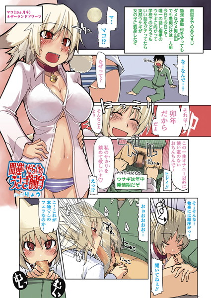 間違いだらけのうさぎ飼育（単話）