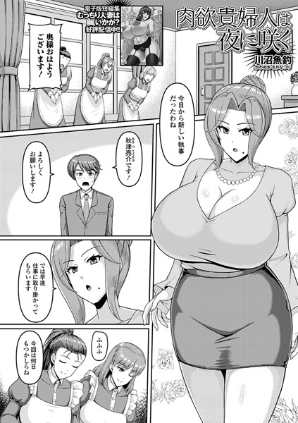 肉欲貴婦人は夜に咲く（単話）