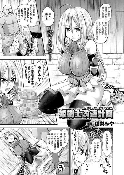 姫騎士改造計画（単話）