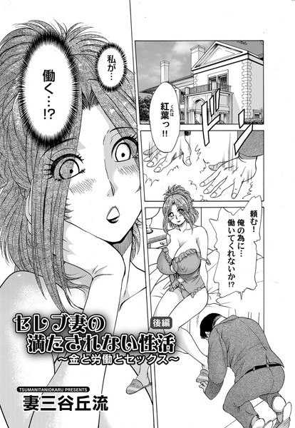 セレブ妻の満たされない性活（単話）