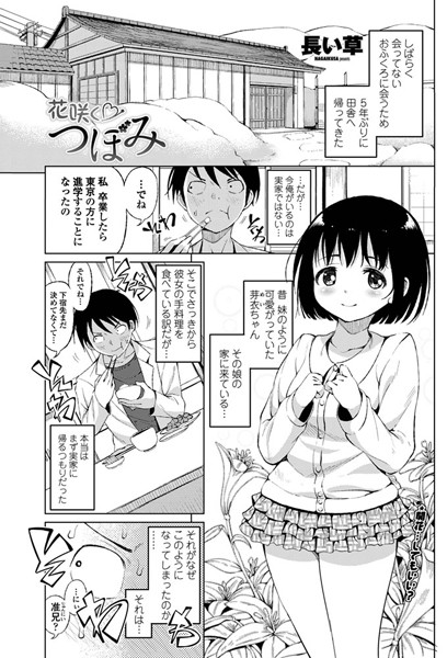 花咲く つぼみ（単話）