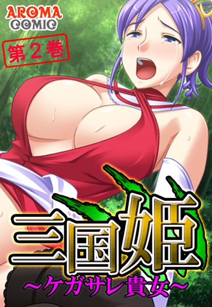 三国姫 〜ケガサレ貴女〜