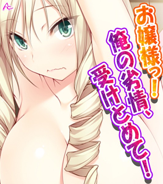 お嬢様っ！俺の劣情、受けとめて！（ワイド版）