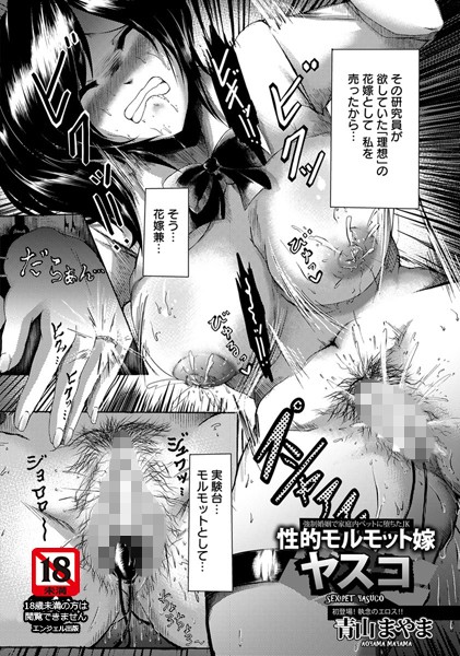 性的モルモット嫁 ヤスコ【単話】（単話）