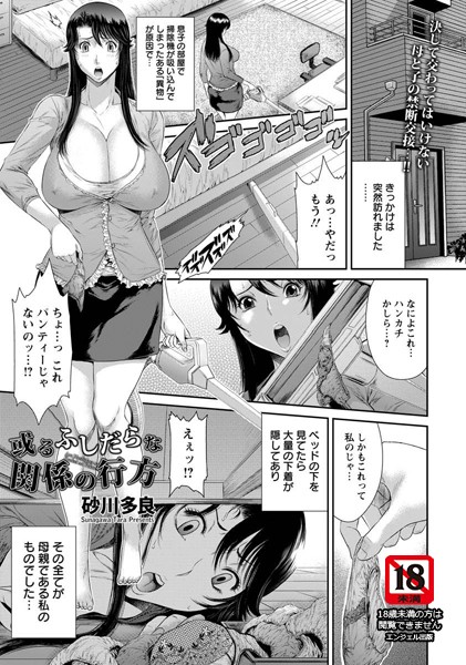 或るふしだらな関係の行方【単話】（単話）