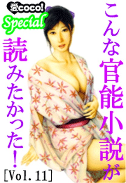 こんな官能小説が読みたかった！vol.11