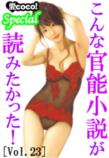 こんな官能小説が読みたかった！vol.23