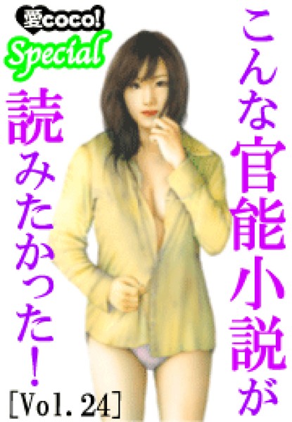 こんな官能小説が読みたかった！vol.24