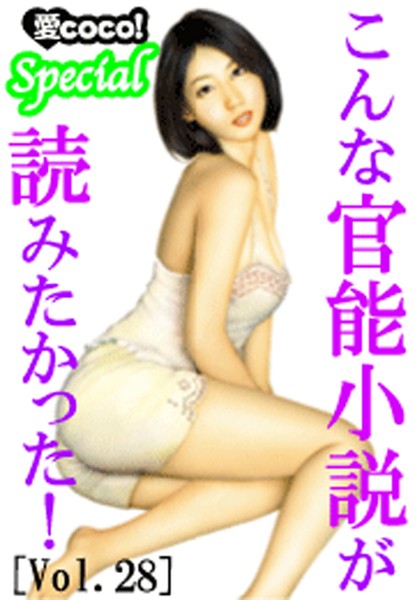 こんな官能小説が読みたかった！vol.28
