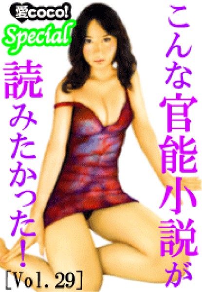 こんな官能小説が読みたかった！vol.29