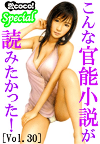 こんな官能小説が読みたかった！vol.30