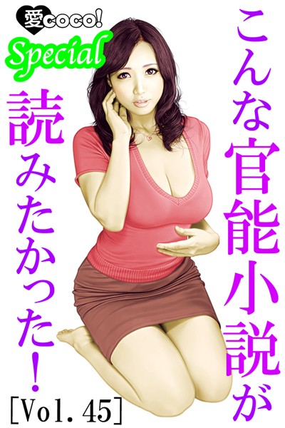 こんな官能小説が読みたかった！vol.45