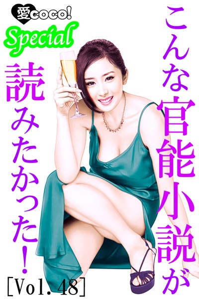 こんな官能小説が読みたかった！vol.48
