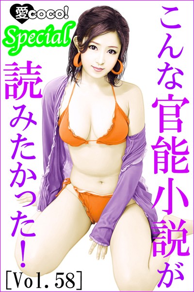 こんな官能小説が読みたかった！vol.58