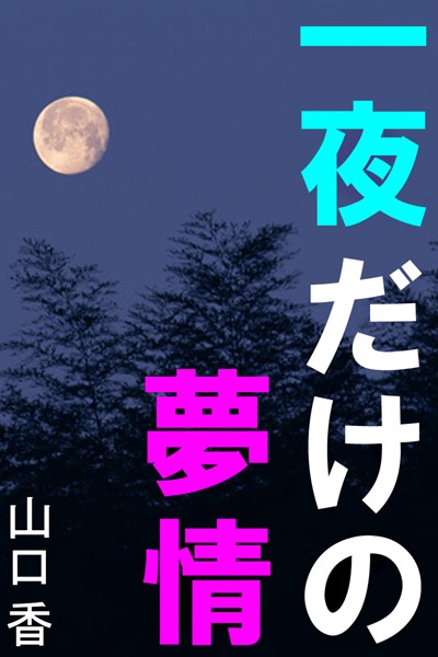 一夜だけの夢情