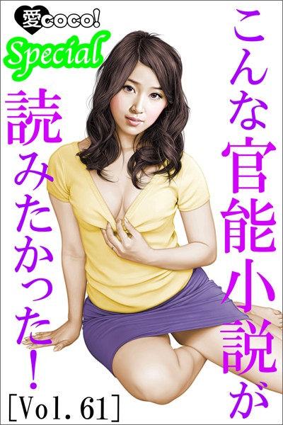 こんな官能小説が読みたかった！vol.61