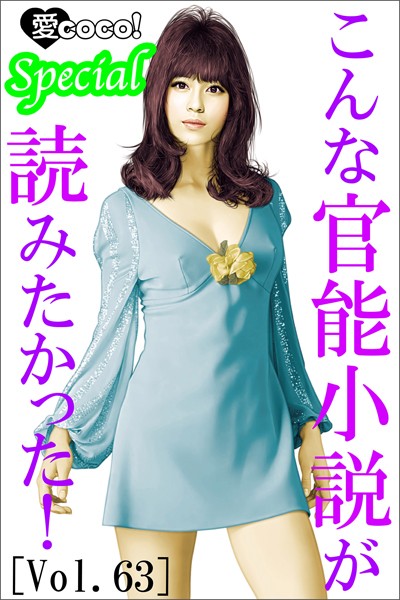こんな官能小説が読みたかった！vol.63