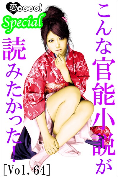 こんな官能小説が読みたかった！vol.64