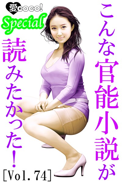 こんな官能小説が読みたかった！vol.74