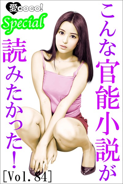 こんな官能小説が読みたかった！vol.84