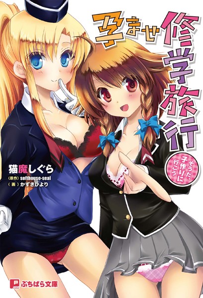 孕ませ修学旅行 〜そうだ、子作りに行こう〜