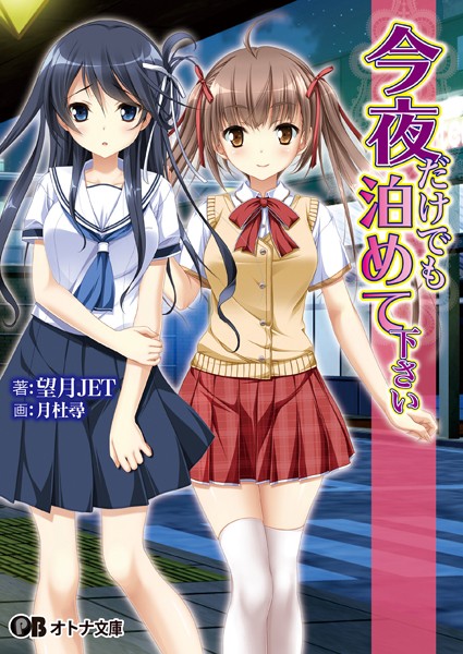 今夜だけでも泊めて下さい