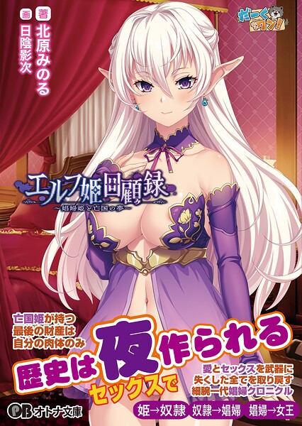 エルフ姫回顧録 〜娼婦姫と亡国の夢〜