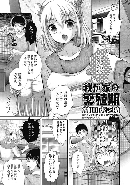 我が家の繁殖期（単話）