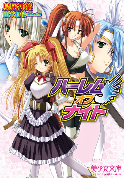 ハーレムオブナイト