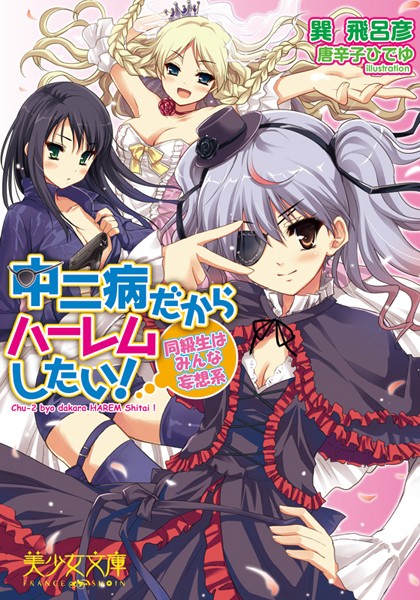 中二病だからハーレムしたい！ 同級生はみんな妄想系