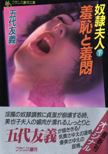 凌●と屈辱 奴●夫人