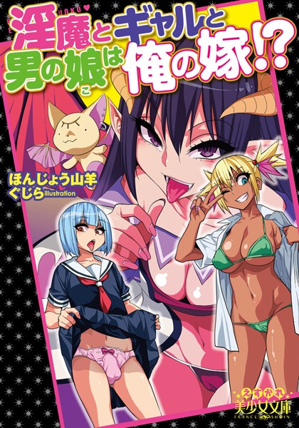 淫魔とギャルと男の娘は俺の嫁！？
