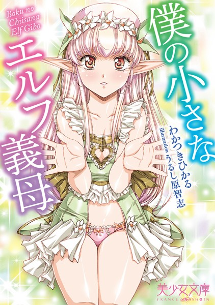僕の小さなエルフ義母